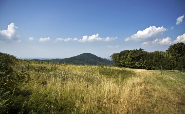 Wypoczynek w górskiej krainie: Bieszczady w nowej odsłonie