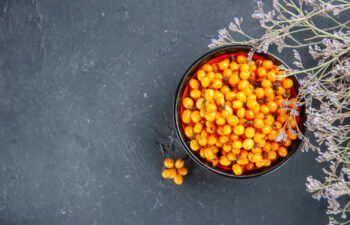 panrokitnik.pl: produkty z rokitnika i świadomy wybór